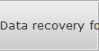 Data recovery for Wisdom data